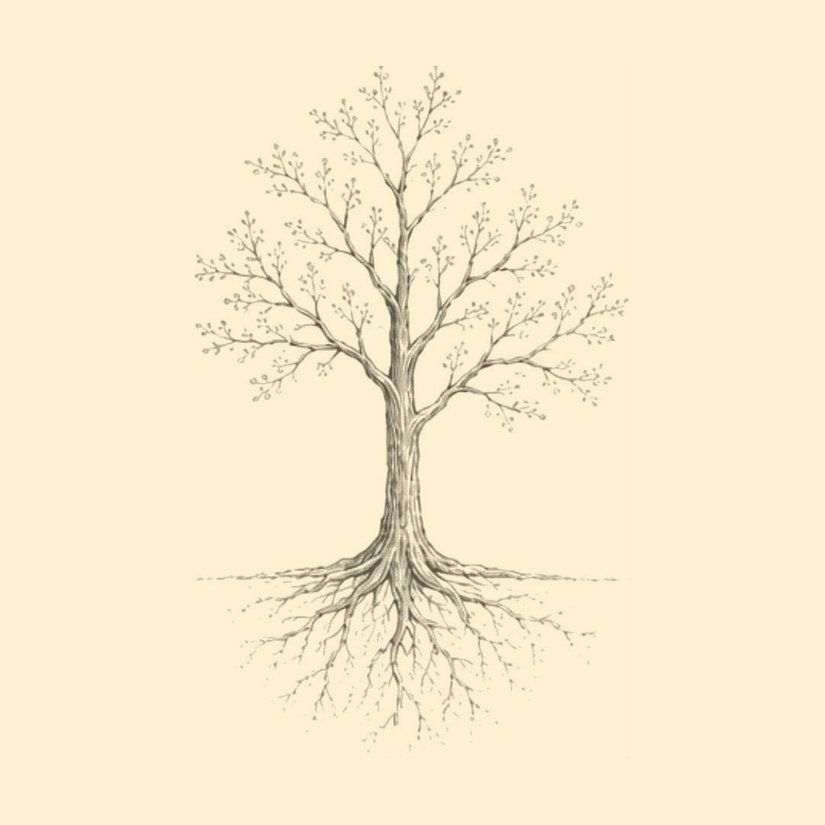 L'albero, emblema della collana Le Cose che Restano
