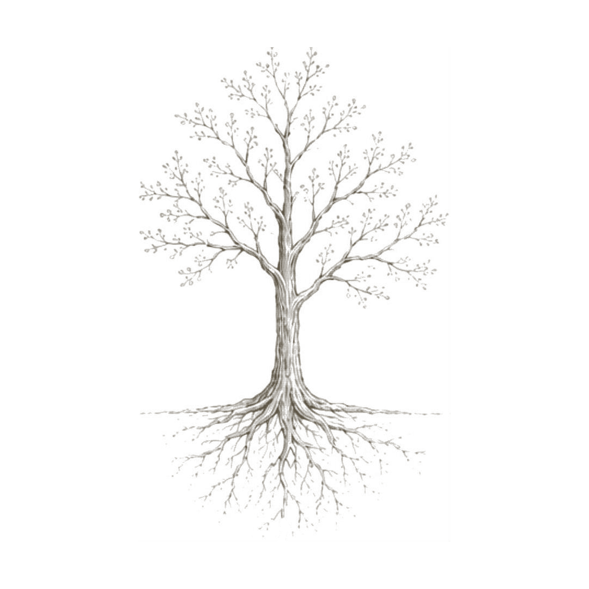 L'albero, emblema della collana Le Cose che Restano